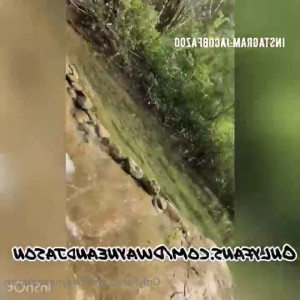 Video by dwayneee9 published on March 29,2023 12:14:00 - BestThots