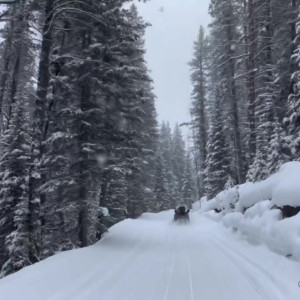 Video by shaylust published on August 19,2023 20:17:19 - BestThots