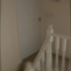 Video by vistawife published on August 19,2023 20:29:00 - BestThots