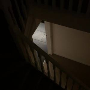 Video by vistawife published on August 19,2023 20:29:31 - BestThots