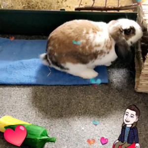 Video by lothianjamie published on June 11,2023 20:08:00 - BestThots