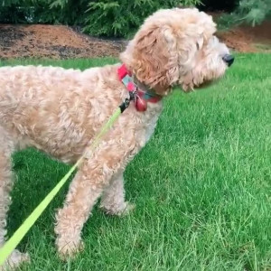 Video by aubreyjane.fitness published on August 9,2023 12:26:00 - BestThots