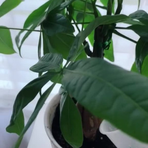 Video by aubreyjane.fitness published on June 23,2023 20:25:00 - BestThots