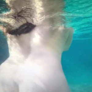 Video by christiestevens published on May 4,2023 05:13:00 - BestThots