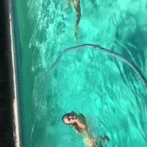 Video by christiestevens published on June 27,2023 01:09:00 - BestThots
