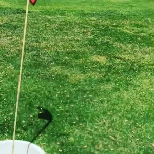 Video by christiestevens published on May 5,2023 12:10:00 - BestThots