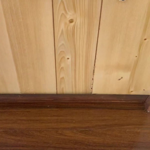 Video by sydneyhail published on March 24,2023 00:08:00 - BestThots