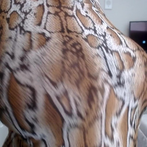 Video by hollyhimalayas published on April 24,2023 16:44:00 - BestThots