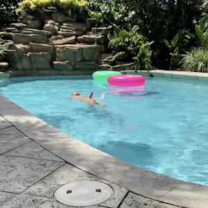 Video by theoliverflynn published on May 5,2023 09:34:00 - BestThots