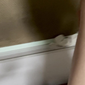 Video by tinaxox69 published on April 5,2023 11:31:00 - BestThots