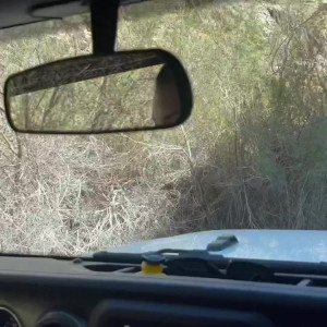 Video by xelizabethskylarx published on August 19,2023 21:42:40 - BestThots