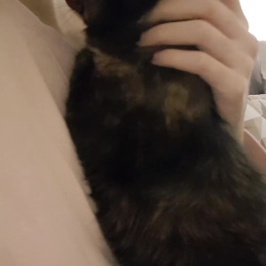 Video by juneliu published on April 26,2023 04:47:00 - BestThots