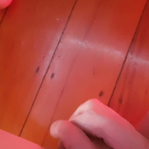 Video by poisindreams published on April 18,2023 20:47:00 - BestThots