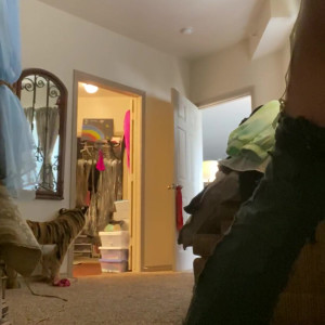 Video by heidi_lee_bocanegra published on June 28,2023 18:22:00 - BestThots
