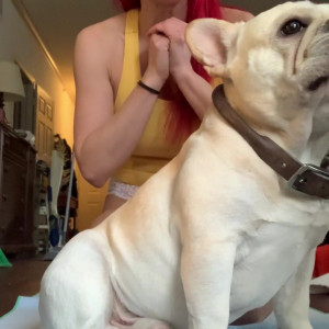 Video by heidi_lee_bocanegra published on August 29,2023 06:41:00 - BestThots