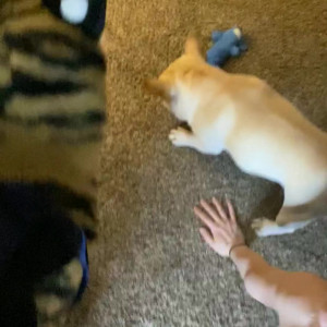 Video by heidi_lee_bocanegra published on June 22,2023 20:54:00 - BestThots