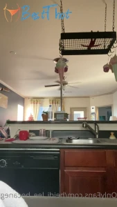 Video by heidi_lee_bocanegra published on January 22,2025 02:04:59 - BestThots