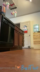 heidi_lee_bocanegra #9750487