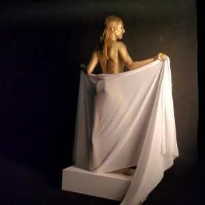 bellatrix #3411348