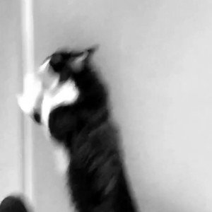 Video by amiamiley published on March 19,2023 18:15:00 - BestThots