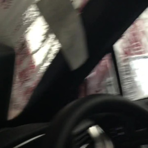 clubshayfox #4667552