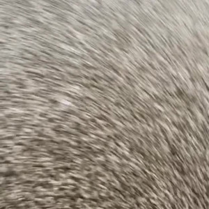 Video by atqofficial published on May 21,2023 17:45:00 - BestThots