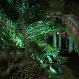 Video by iteliaroom published on May 8,2023 17:35:00 - BestThots