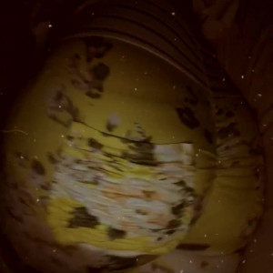Video by brunetteheadbaddie published on May 23,2023 08:42:00 - BestThots