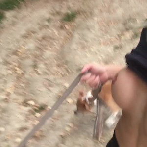 Video by mrs_physique published on July 13,2023 01:18:00 - BestThots