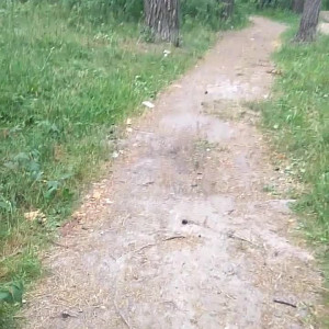 Video by maddie.grey published on August 12,2023 10:47:00 - BestThots