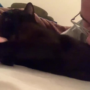 Video by maddie.grey published on April 30,2023 18:56:00 - BestThots