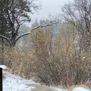 Video by senrii published on June 6,2023 02:29:00 - BestThots