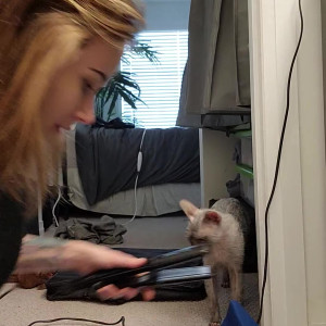 Video by catziilla published on May 15,2023 12:54:00 - BestThots