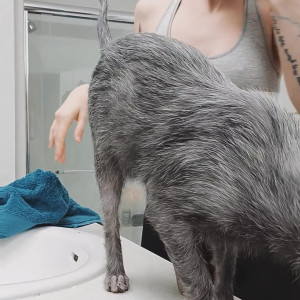 Video by catziilla published on August 24,2023 23:17:00 - BestThots