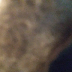 Video by gingerbanks1 published on May 17,2023 19:11:00 - BestThots