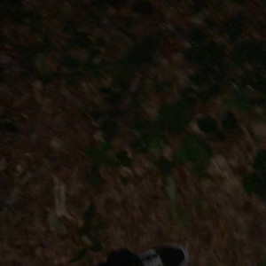 Video by thedongkinger published on August 20,2023 01:47:26 - BestThots