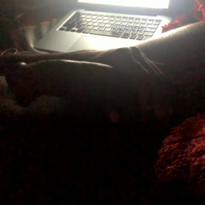 Video by thedongkinger published on March 23,2023 15:54:00 - BestThots