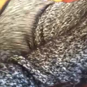 Video by realbriamyles published on May 31,2023 02:19:00 - BestThots