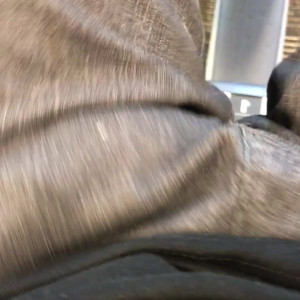 Video by johnnysins published on June 24,2023 07:35:00 - BestThots