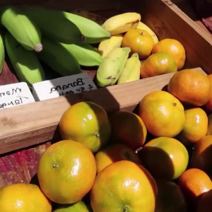 Video by johnnysins published on April 28,2023 14:39:00 - BestThots