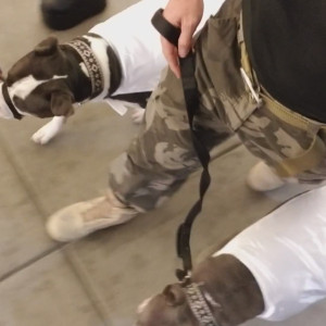 Video by johnnysins published on March 6,2023 18:09:00 - BestThots