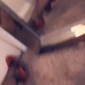 Video by iamlmonies published on June 28,2023 17:57:00 - BestThots