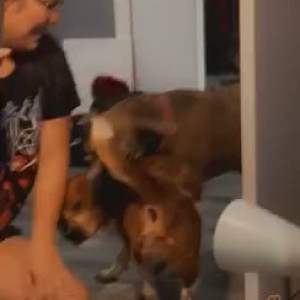 Video by vodkamilk published on April 14,2023 19:12:00 - BestThots