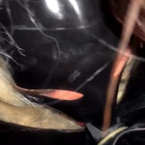 Video by evilwoman published on July 28,2023 03:21:00 - BestThots