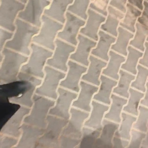 Video by evilwoman published on June 1,2023 15:41:00 - BestThots