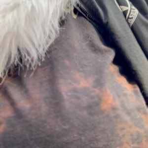 saoirsemutt #3417644