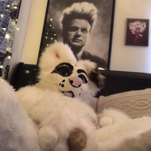 Video by saoirsemutt published on July 6,2023 10:43:00 - BestThots