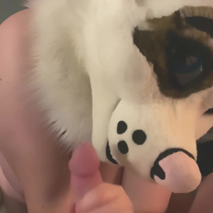 Video by saoirsemutt published on June 1,2023 10:03:00 - BestThots