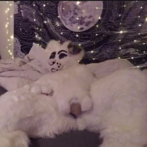 Video by saoirsemutt published on August 2,2023 21:06:00 - BestThots