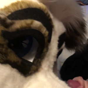 Video by saoirsemutt published on March 25,2023 20:45:00 - BestThots